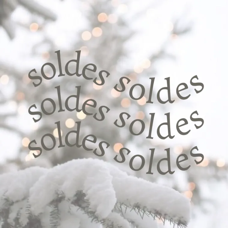 Soldes chez votre fleuriste à Ensuès la Redonne, Carry-le-Rouet & Ensuès-la-Redonne , Maison Segard