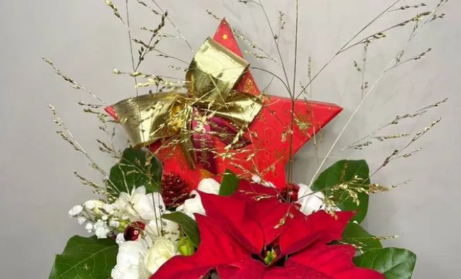 Vente de fleurs pour Noël, Ensuès-la-Redonne, Maison Segard