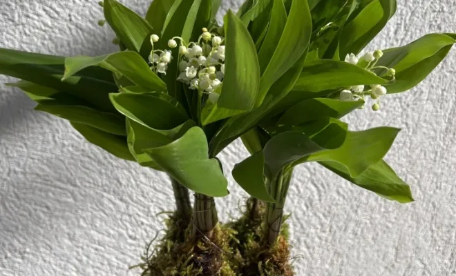 Vente de fleurs pour le premier Mai, Ensuès-la-Redonne, Maison Segard
